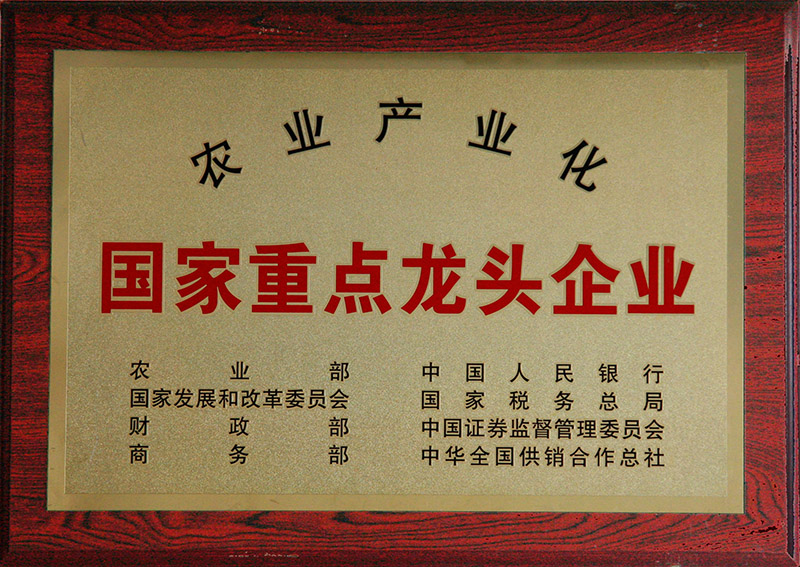 農業產業化國際重點龍頭企業