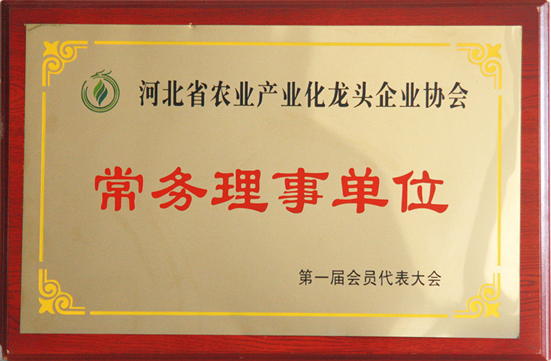 榮譽證書