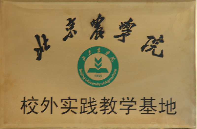榮譽證書