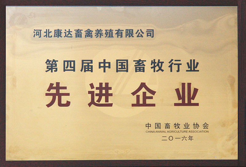 榮譽證書
